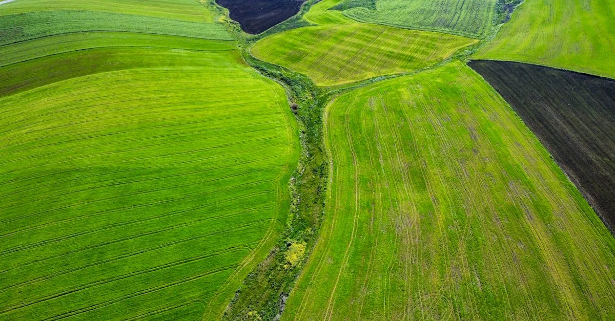 découvrez l'agriculture écologique : une méthode durable qui respecte l'environnement, favorise la biodiversité et améliore la qualité des sols pour une production alimentaire saine et responsable.