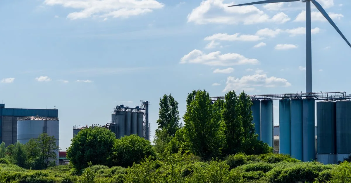 découvrez les réglementations environnementales essentielles visant à protéger la nature et promouvoir un développement durable pour un avenir plus vert.