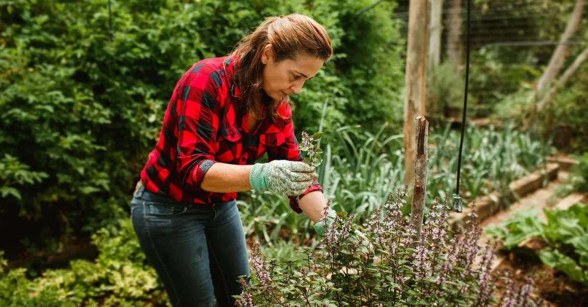 découvrez les techniques essentielles pour tailler vos plantes et favoriser leur croissance saine et harmonieuse.
